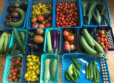 The 2021 Fresh Vegetables Sale Has Ended!