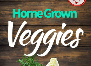 The 2022 Vegetable Season Is Successfully Closed!