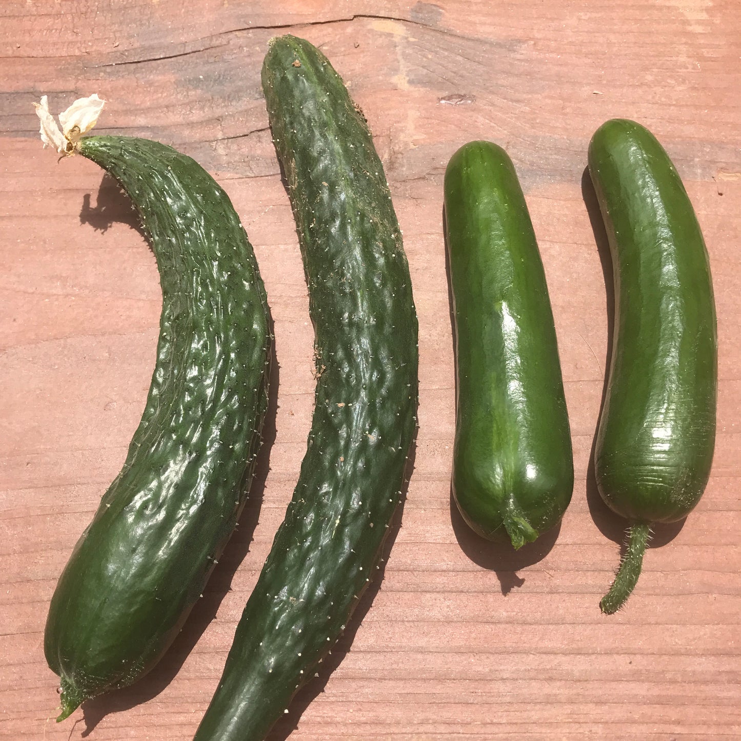 Cucumbers