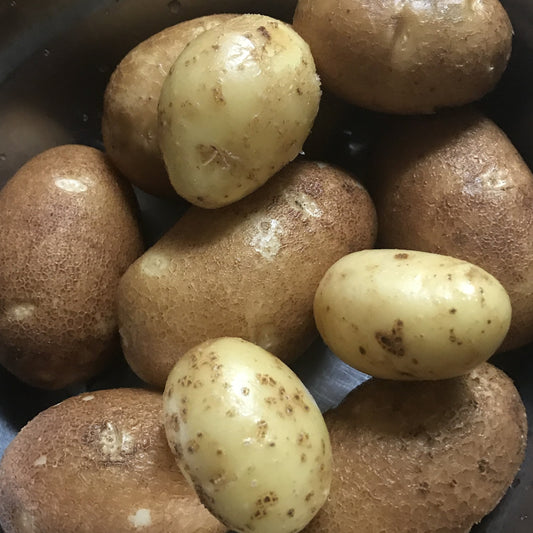 Potatoes