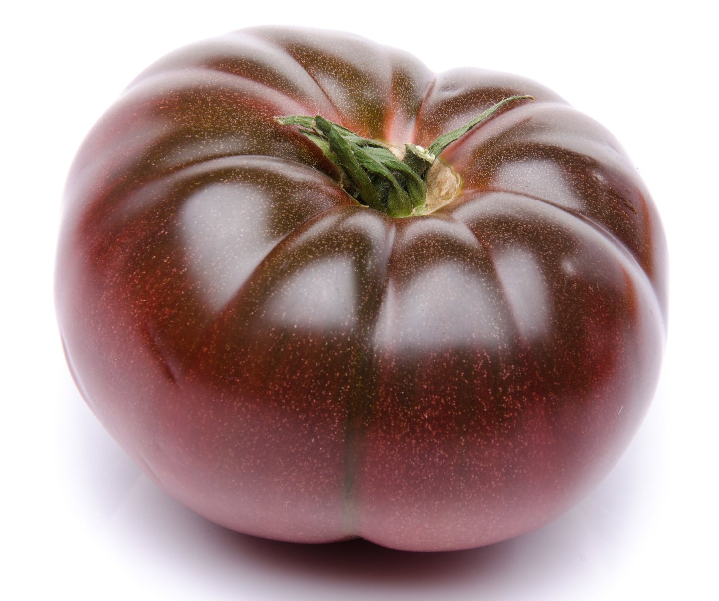 Tomato Seedling