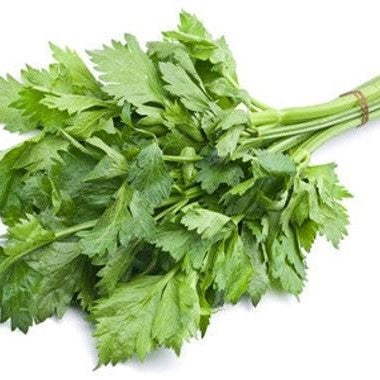 Chinese Celery （中芹）