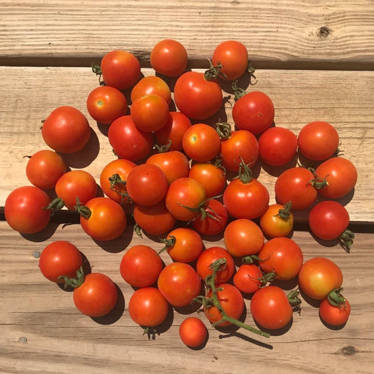 Cherry Tomatoes