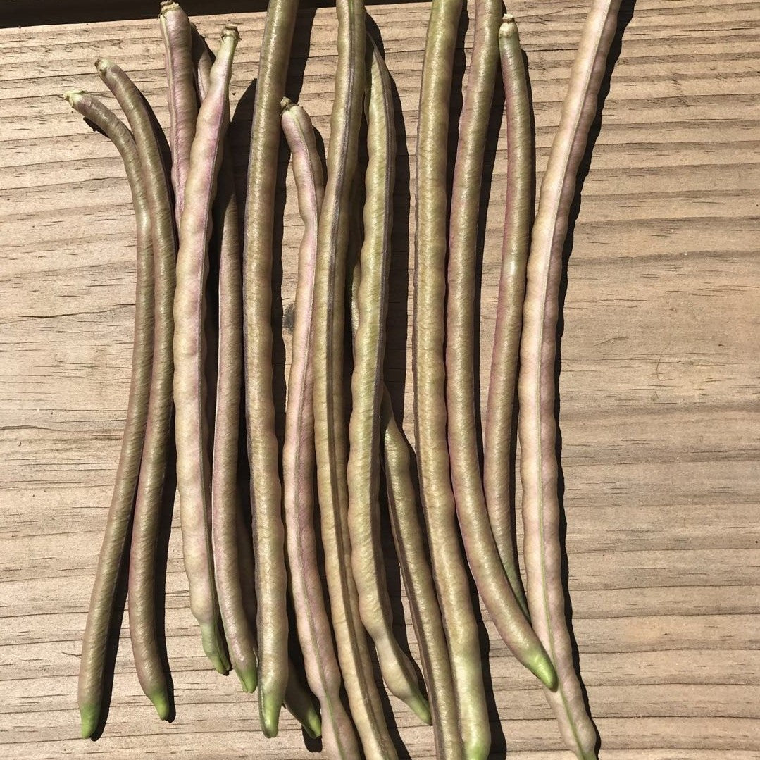 Asparagus Beans