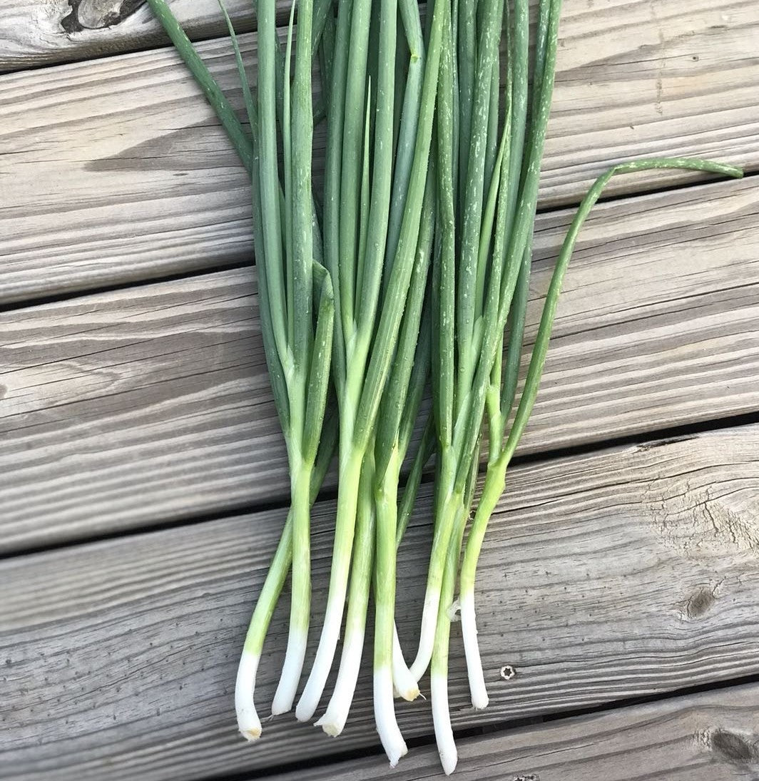 Green Onion