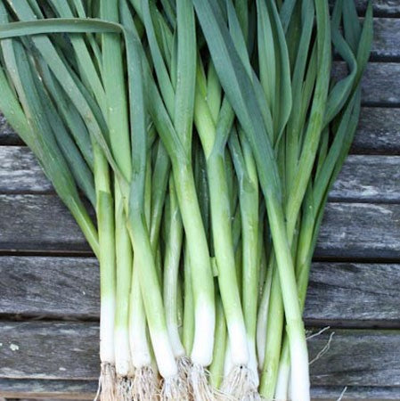 Leeks